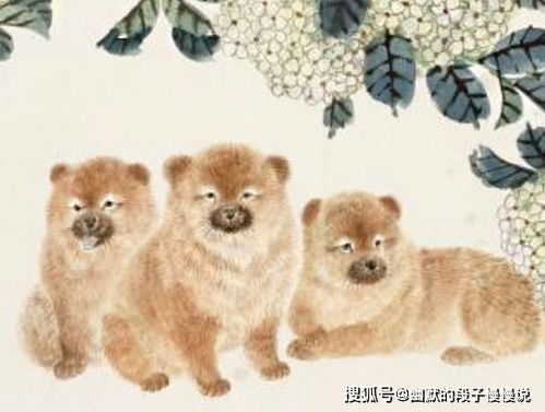 先聊聊“越努力越良好运”这句老话