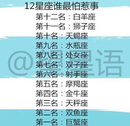 黑星座的职场日常：从“招黑”到“逆袭”