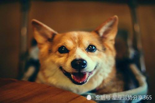 年轻巧化时的辛酸史