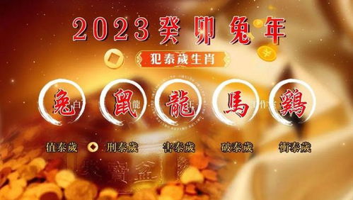 2023年2月属龙提车的“真实命吉日”