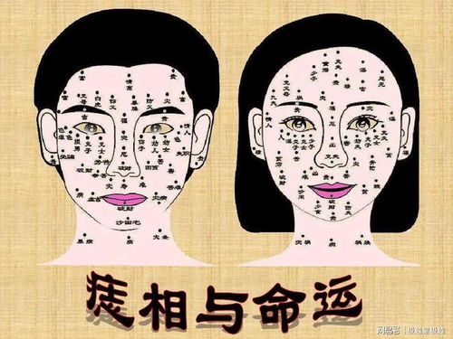 牛——腰间稳沉重痣