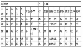 1. 五行相生相克：木火土金水