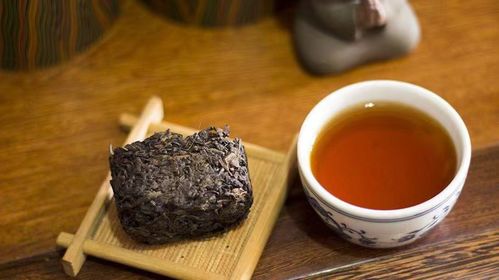 2026年生肖运势与黑茶饮法小贴士