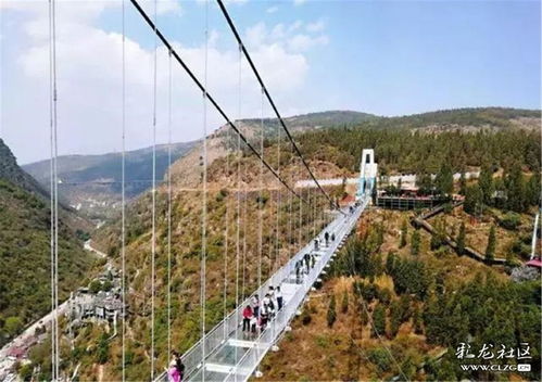 3. 抚仙湖：藏在较深闺的明珠（水清得让你心慌）