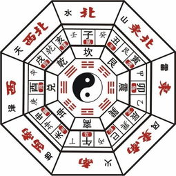 牛族朋友：背后要有支撑墙体