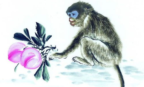 属猴人起网名的讲究