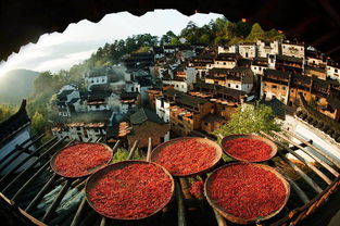 6. 关注景区官方活动，抢免费门票