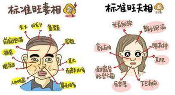 性格较大致描摹