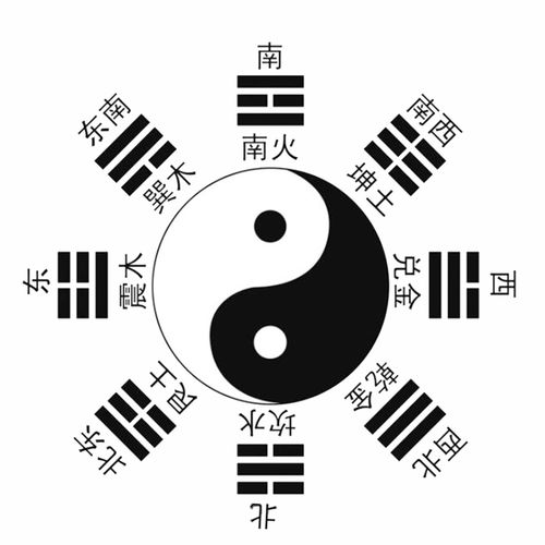 规避相克：别让你的名字在内部打架