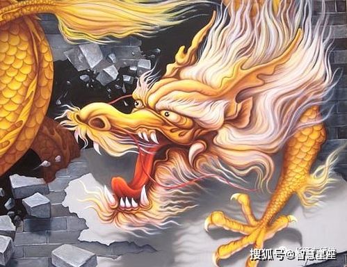 龙——传说中的天行者