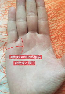 曲折向下：缘分不容简单逢？