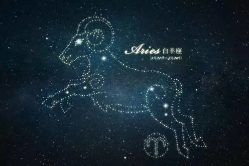 火焰与潮汐——两种能量的碰撞