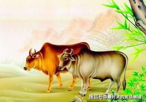 30岁左右