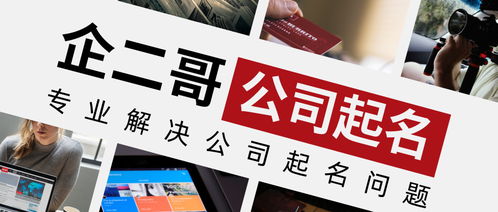 A段示例——霸气+农耕+吉祥 = “龙腾绿野”