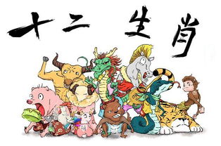 属龙：旺盛活力