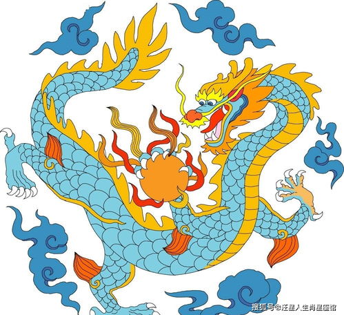 这一天属兔的你适合做哪些呢？