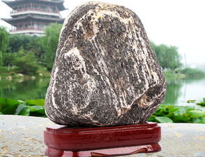 泰山石：不是啥土疙瘩