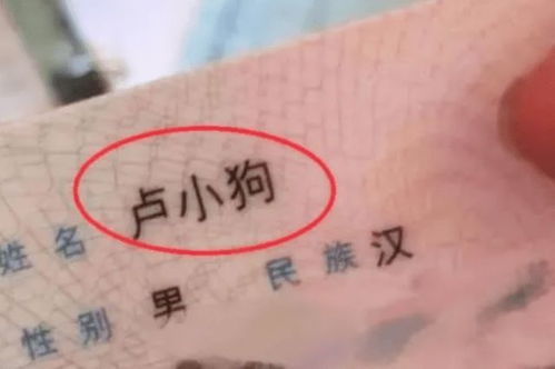 晴字命名的寓意解析