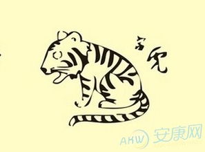 木虎：五行的作用于