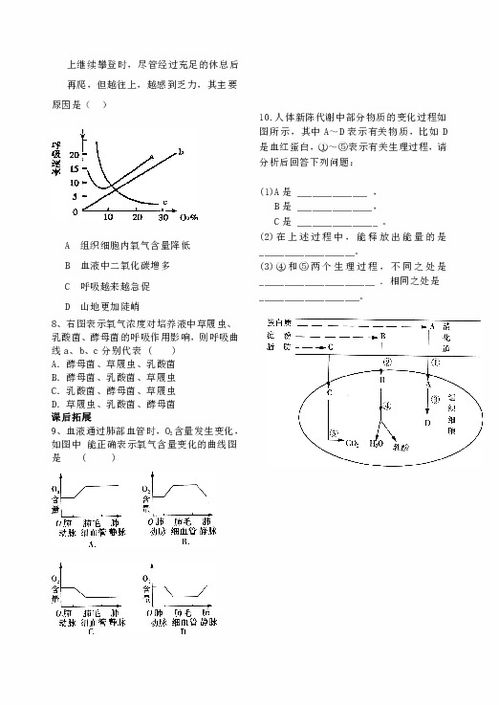 地轴是哪些？