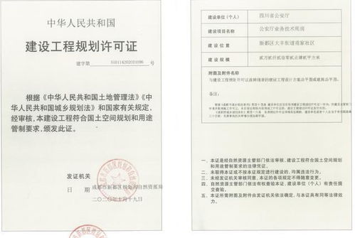A. 超级豪华型——适合大型国企或央企（⚡️）