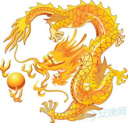 属龙人， 这群被命运标记了的人