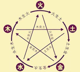 鼠和水瓶：简单受水冲作用于