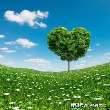 棠树与“福寿绵延”——取“棠”字寓意长青与温和乐观