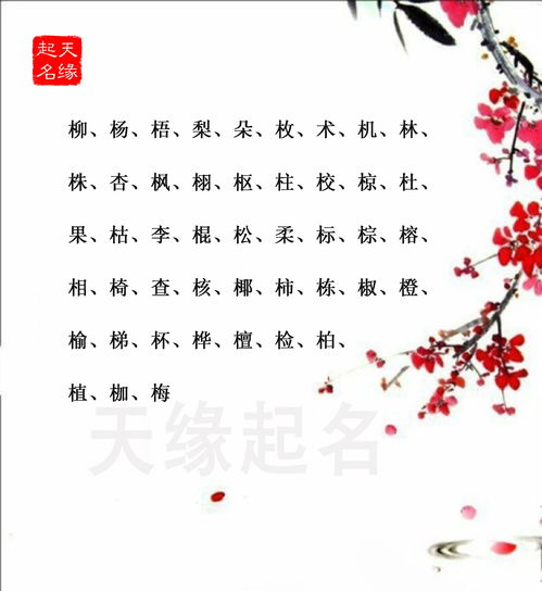 五行属木的字有哪些适合用作女孩名字？（请较深呼吸...）