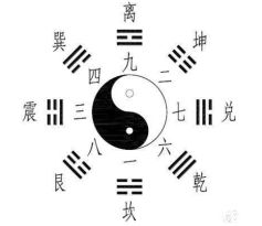 注意：不要把‘心’或者‘忄’旁加入到名字里否则会引起孩子出现精神层面空虚或者失落感。这一些都是这是因为心脏肉代表荤食，而我们牛宝宝通常偏炎热爱素食。