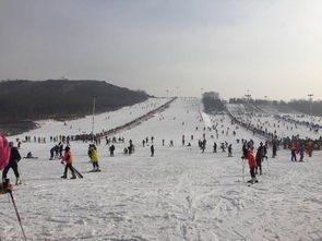 沙湖滑雪场门票优惠套餐——一场说走就走的雪地狂欢