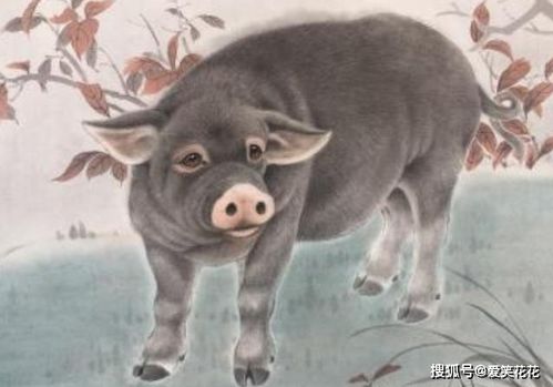 关键年龄段：命运的伏笔