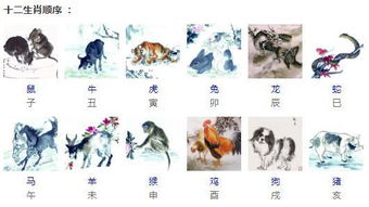 了解十二生肖有哪些意义?