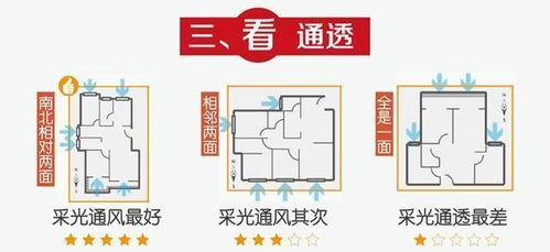 4. 窗户大小与通透度