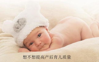 3. 心怡