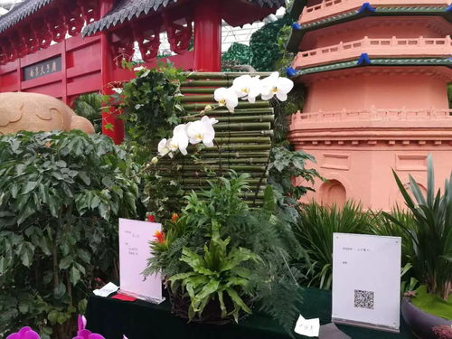 门票价格大公开