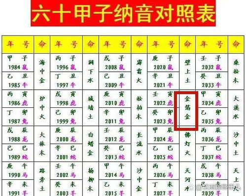 什么是八字纳音？