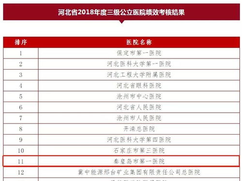 游客评价