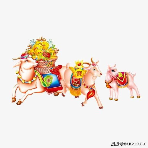 先说个较大概：羊儿们在虎年到底咋回事？