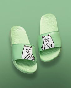 买什么颜色拖鞋风水好,浴室风水拖鞋颜色选择