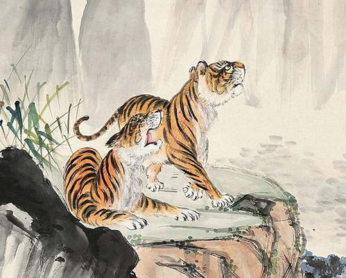 虎纹女王的决断力