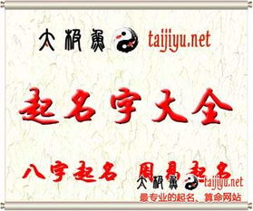 姓名评分到底给我们哪些信息