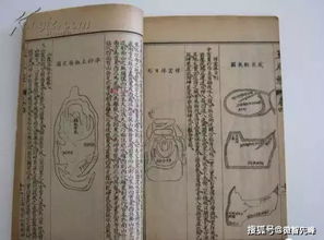 四、今后趋势与个人提议