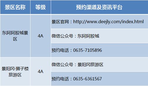 四、购买渠道：到处都是坑