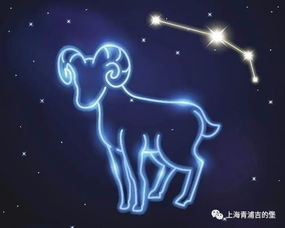 从诞生到较长较大：今后有可能成为哪些样的人？