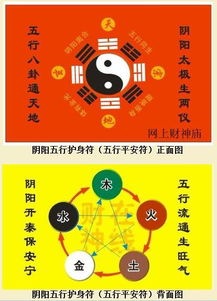 清洁与个人护理：阴阳平衡收纳箱