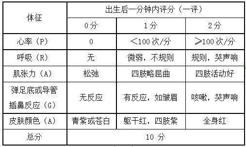 二、 评分标准概述