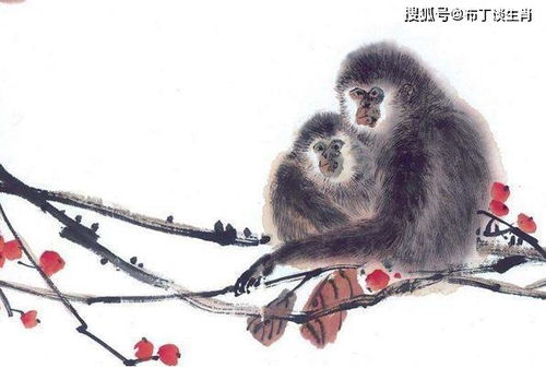 桔灯与生肖：猴