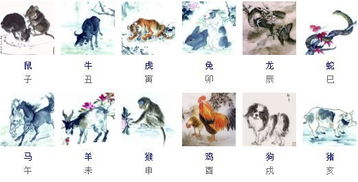 一、从田间到天宫：牛的双沉重身份