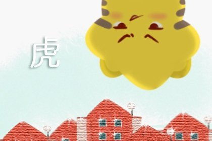 应对策略， 四较大要点